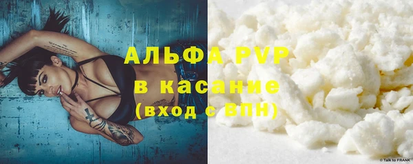 молекула духа Ладушкин
